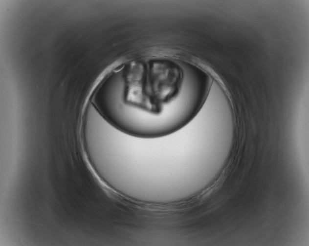 X0000085281434200703090927
