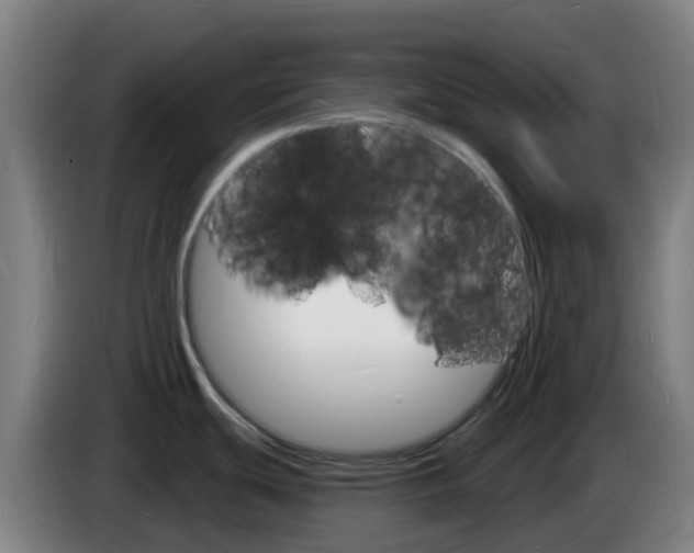 X0000085281439200703090927