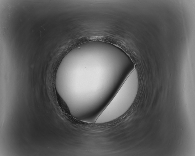 X0000085281441200703090926