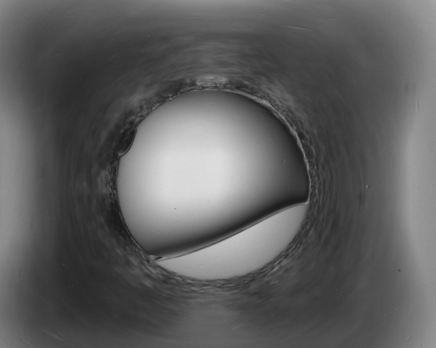 X0000085281445200703090926