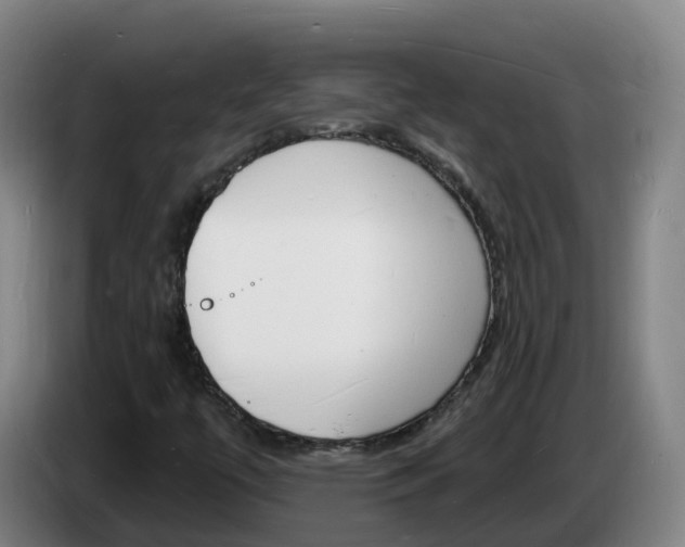X0000085281447200703090926