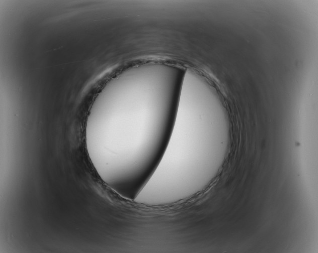 X0000085281448200703090926