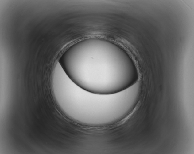 X0000085281449200703090926