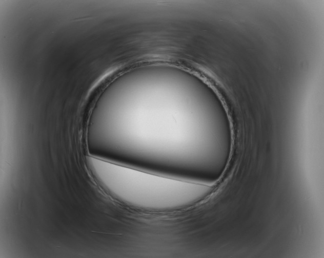 X0000085281450200703090926