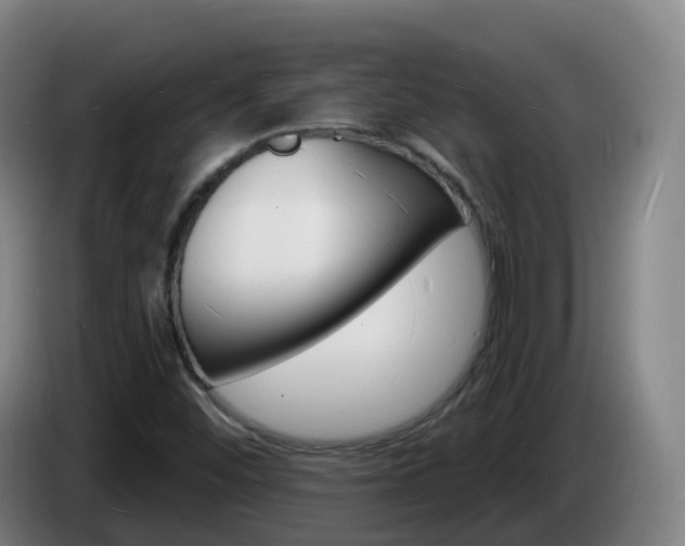 X0000085281452200703090926