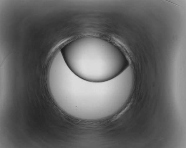 X0000085281453200703090926