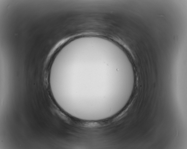 X0000085281454200703090926