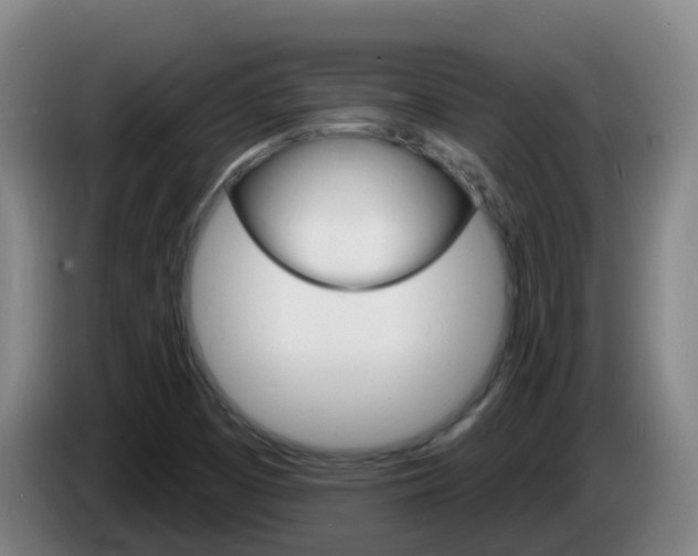 X0000085281457200703090926
