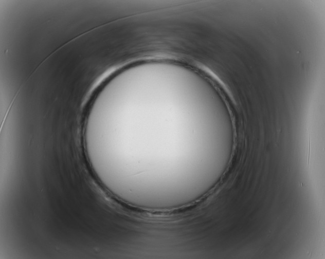 X0000085281460200703090926