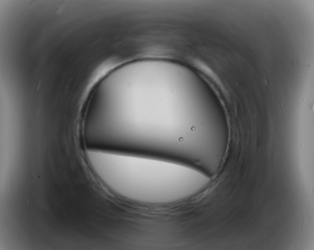 X0000085281463200703090926