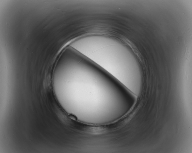 X0000085281465200703090926