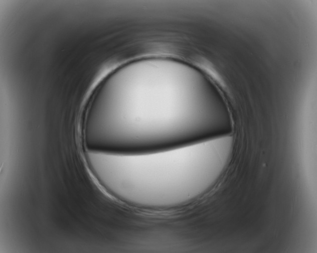 X0000085281468200703090926