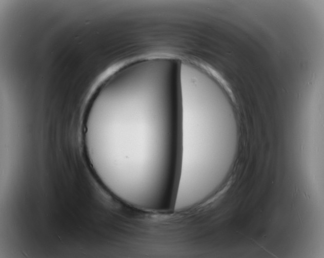 X0000085281469200703090926