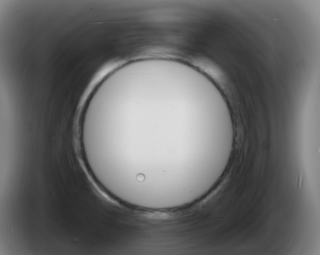 X0000085281470200703090926