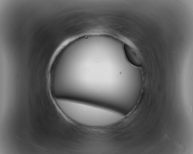 X0000085281472200703090926