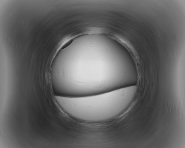 X0000085281473200703090926