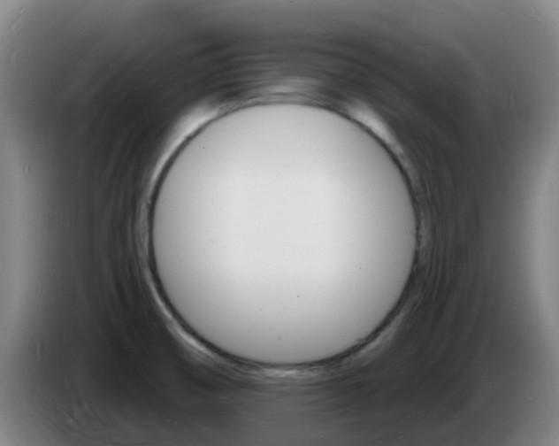 X0000085281474200703090926