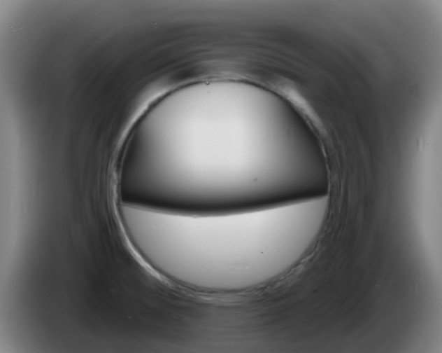 X0000085281476200703090926