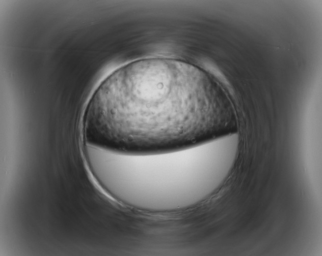 X0000085281479200703090926