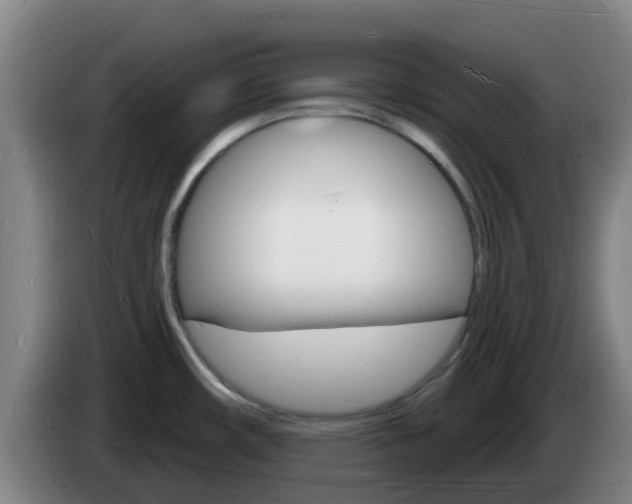 X0000085281482200703090926