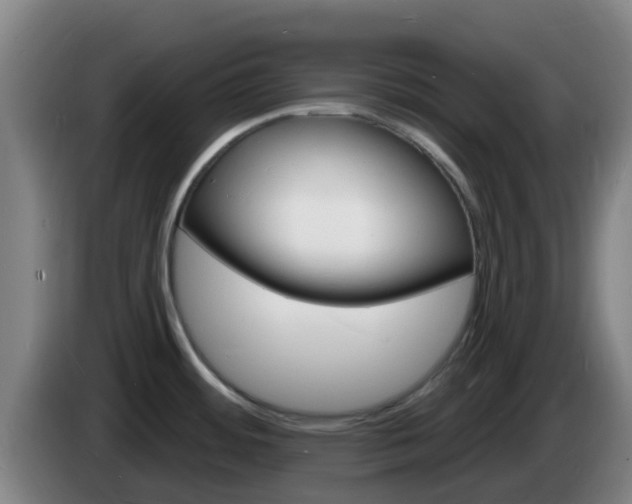 X0000085281484200703090926