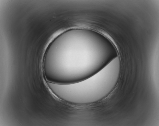 X0000085281485200703090926