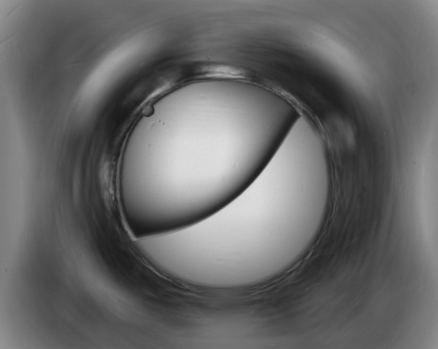 X0000085281487200703090926