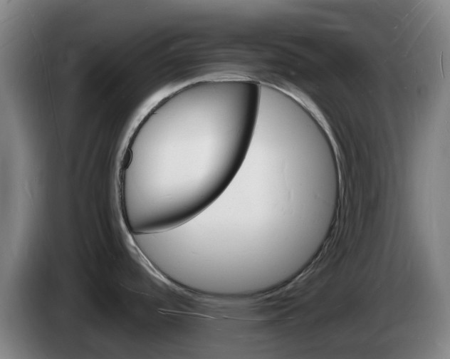 X0000085281488200703090926