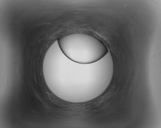 X0000085281492200703090925