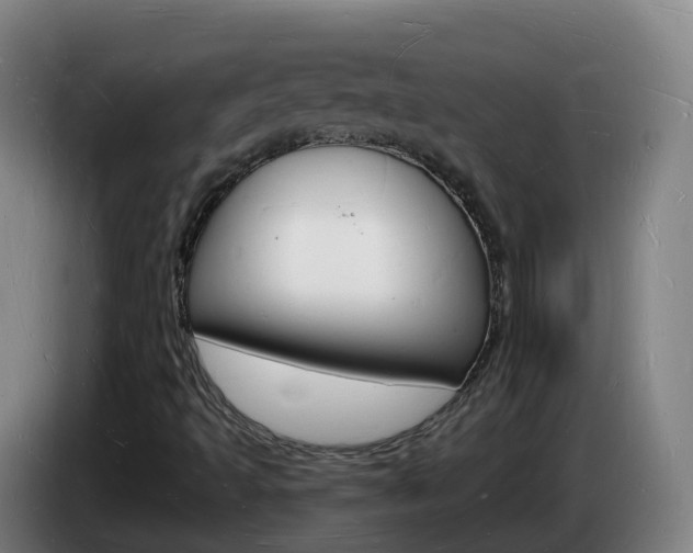 X0000085281493200703090925