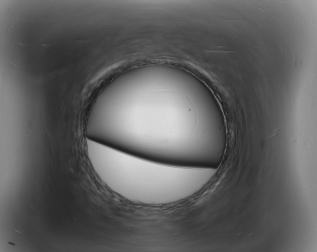 X0000085281494200703090925
