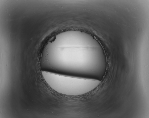 X0000085281495200703090925