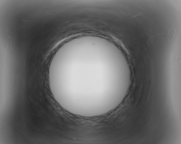 X0000085281496200703090925