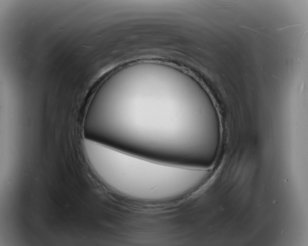 X0000085281497200703090925