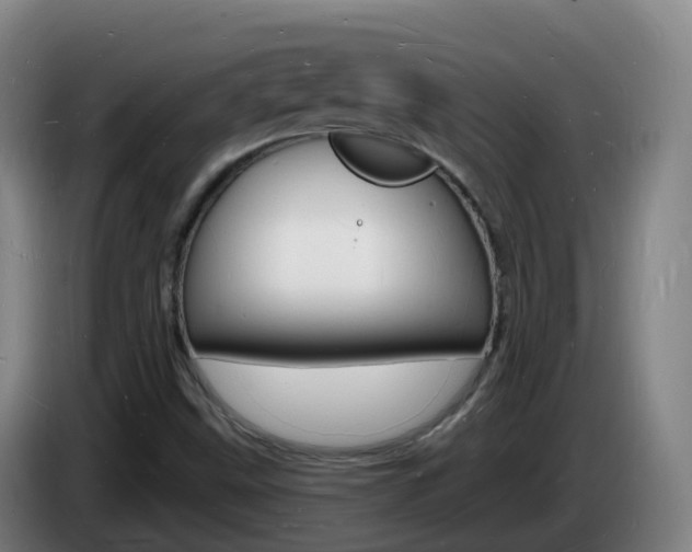 X0000085281499200703090925