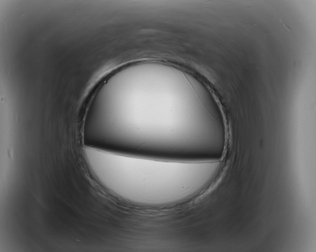X0000085281501200703090925