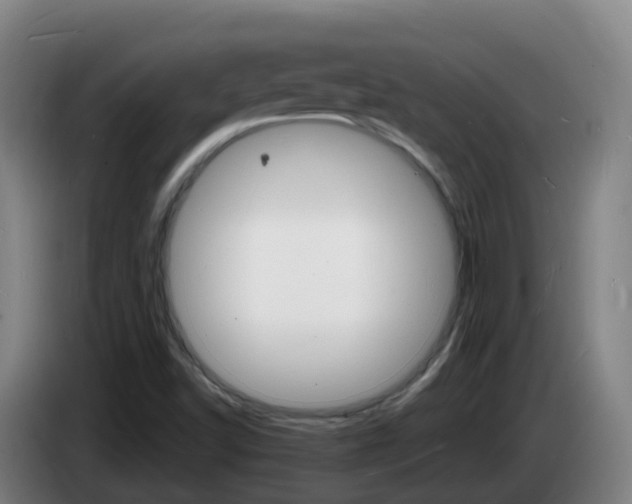 X0000085281502200703090925