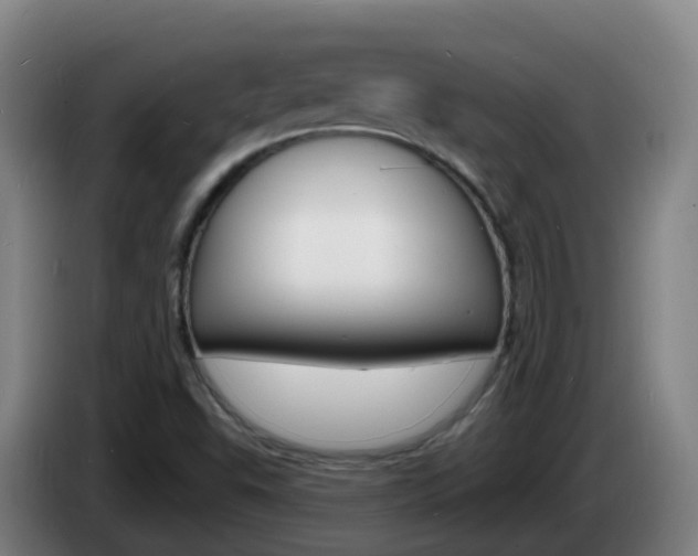 X0000085281503200703090925