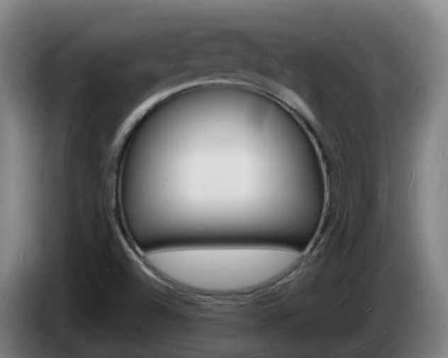 X0000085281504200703090925