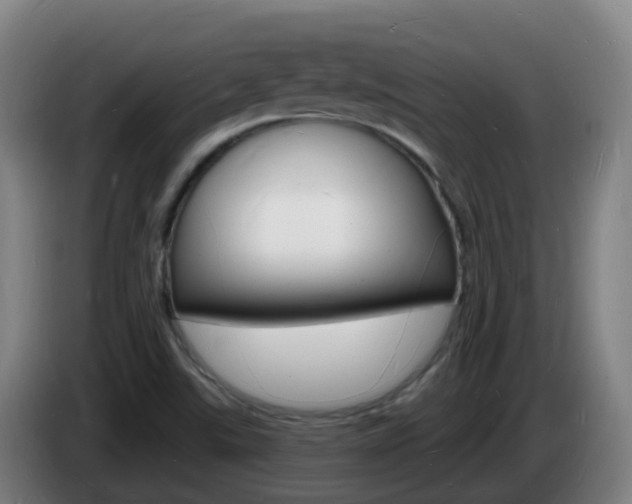 X0000085281507200703090925