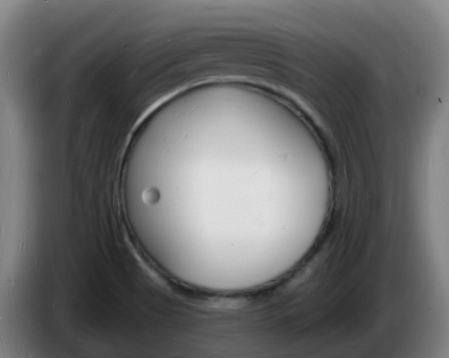 X0000085281513200703090925