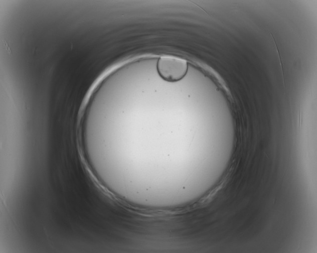 X0000085281514200703090925