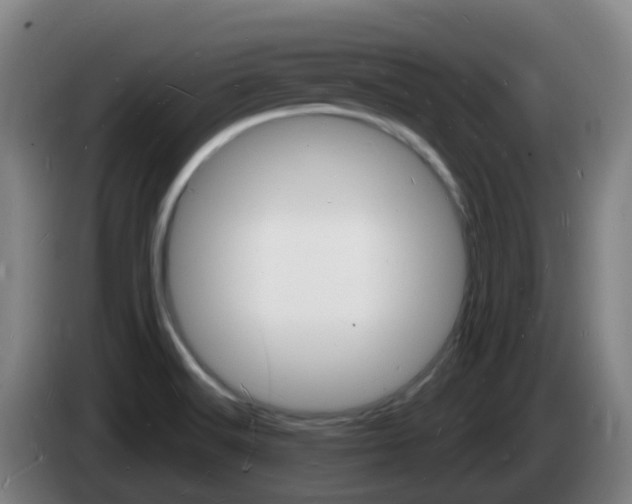 X0000085281516200703090925