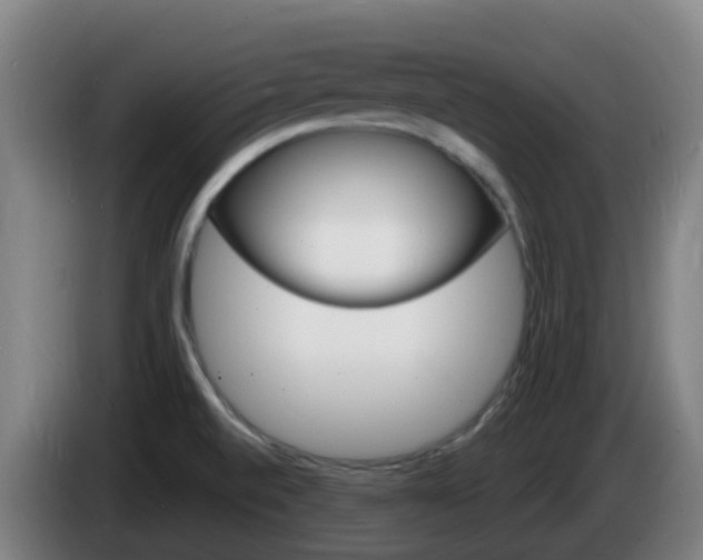 X0000085281520200703090926
