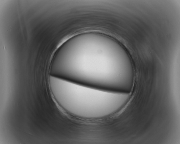 X0000085281521200703090926
