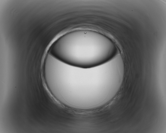 X0000085281522200703090926