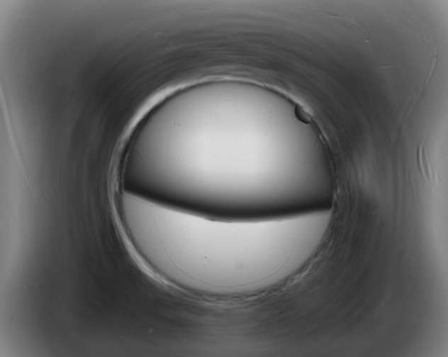 X0000085281523200703090926