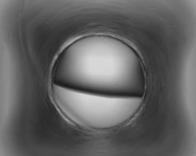 X0000085281525200703090926