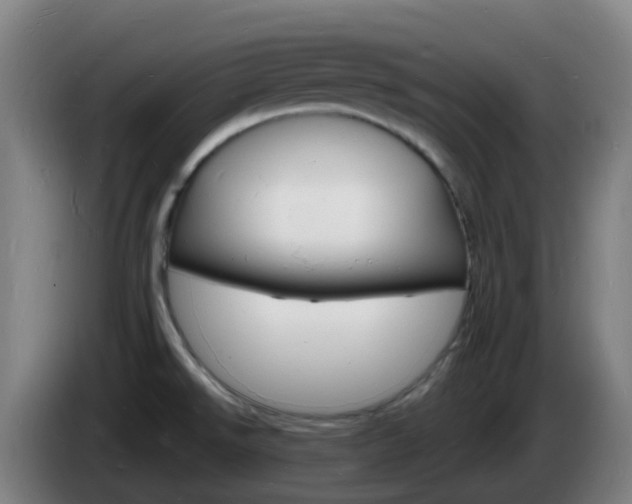 X0000085281526200703090926