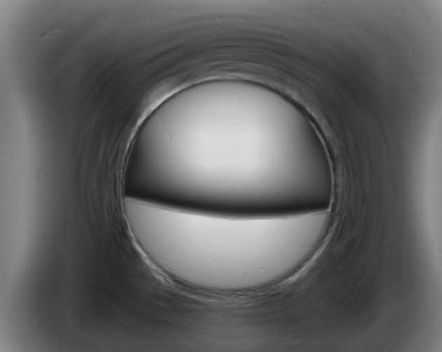 X0000085281529200703090926